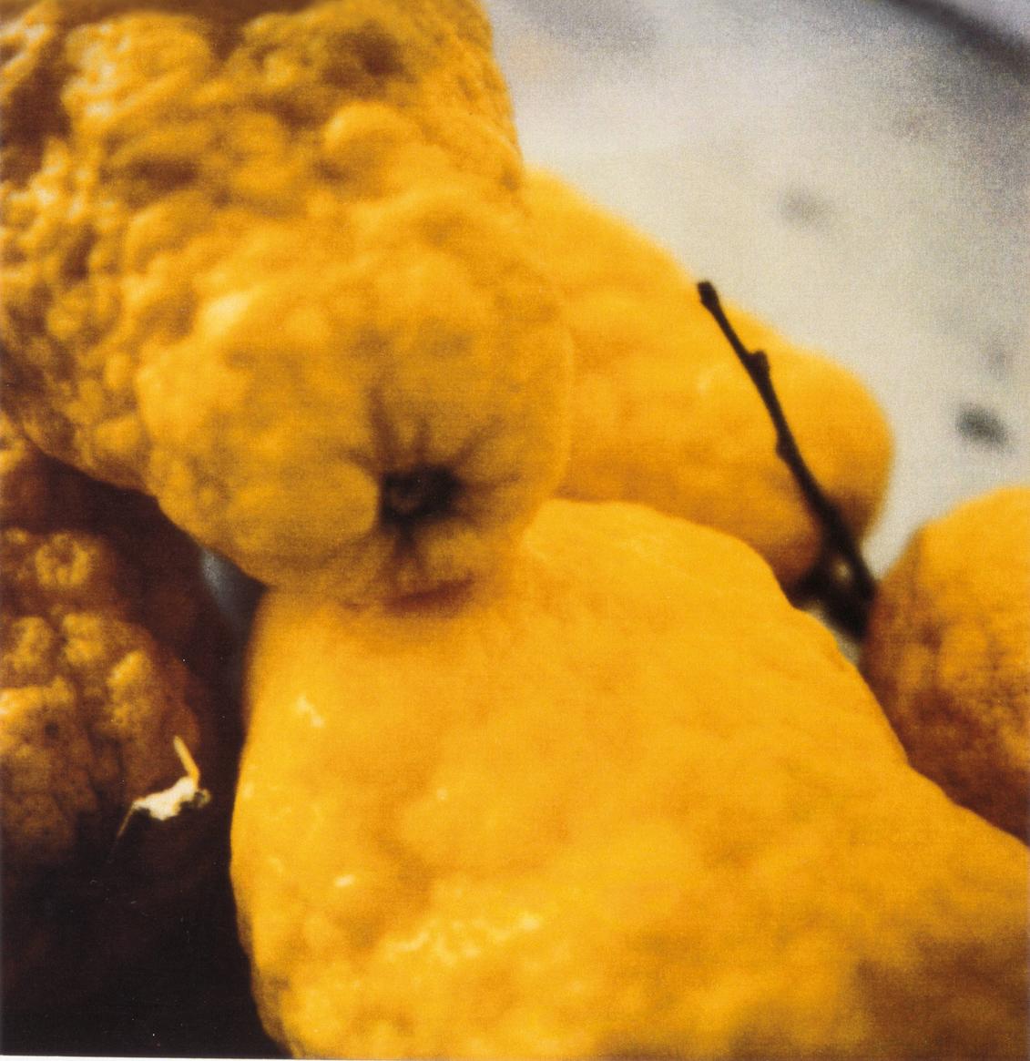 Lemons, 2005